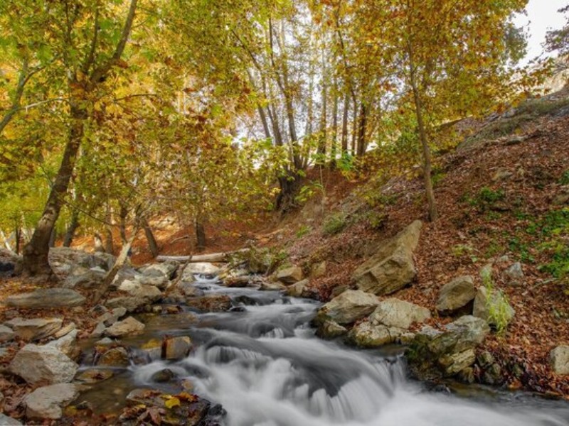 باغ‌شهر کوچک صحنه، تفرجگاهی خوش آب و هوا برای نوروز