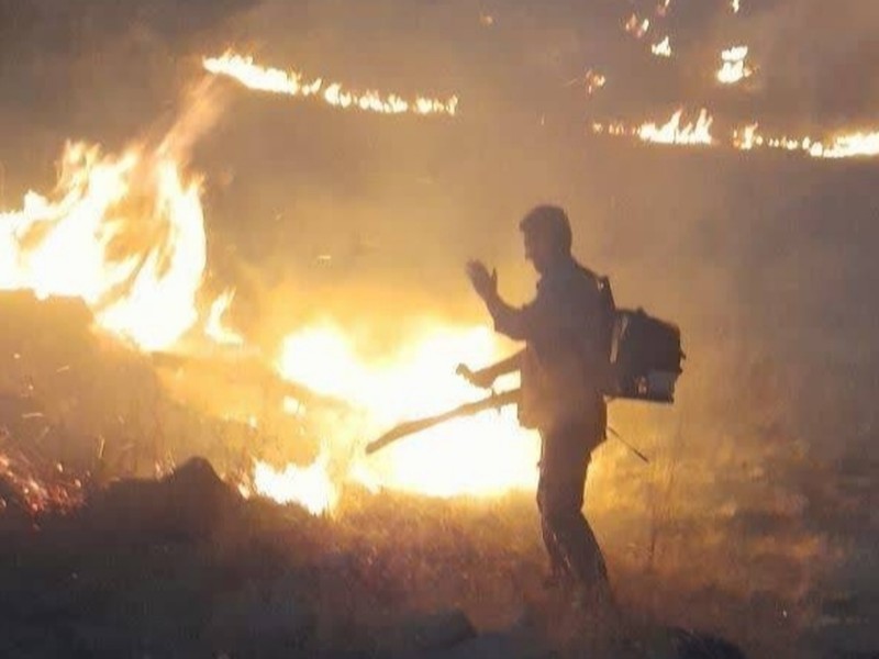 مهار آتش سوزی منطقه حفاظت شده بیستون