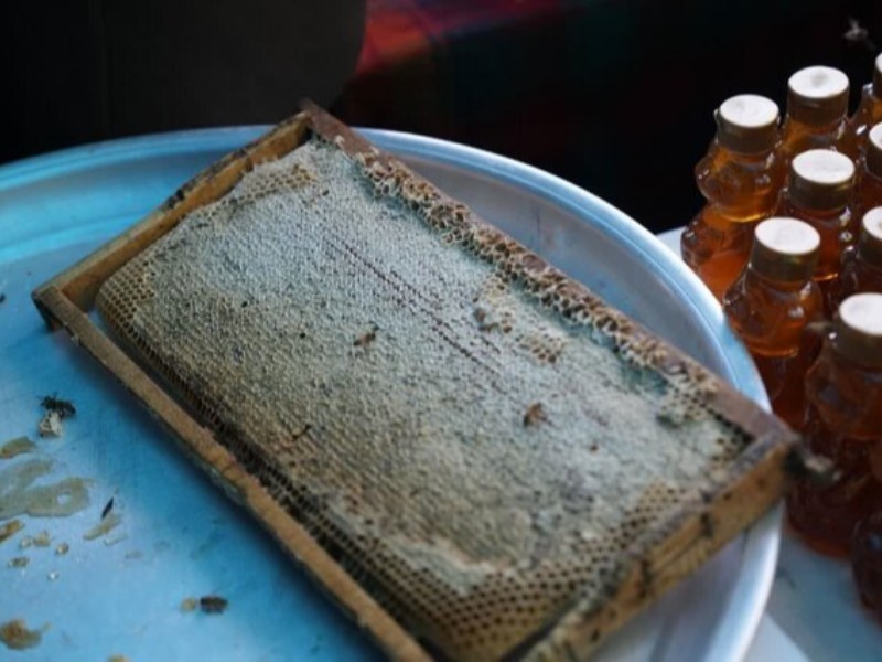 جشنواره عسل صحنه برگزار می‌شود