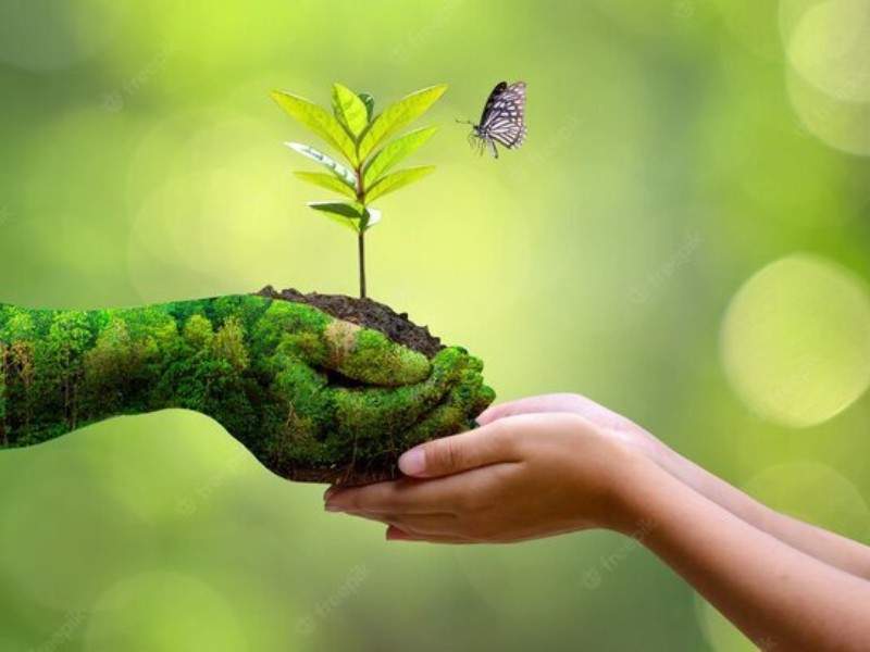 ۷۵ هزار کرمانشاهی همیار طبیعت هستند