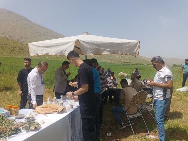 تور گردشگری خوراک ویژه گیاهان بهاری برای دانشجویان بین الملل استان کرمانشاه در صحنه برگزار شد