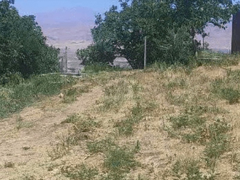 شناسایی متخلفان تخریب اراضی ملی در صحنه