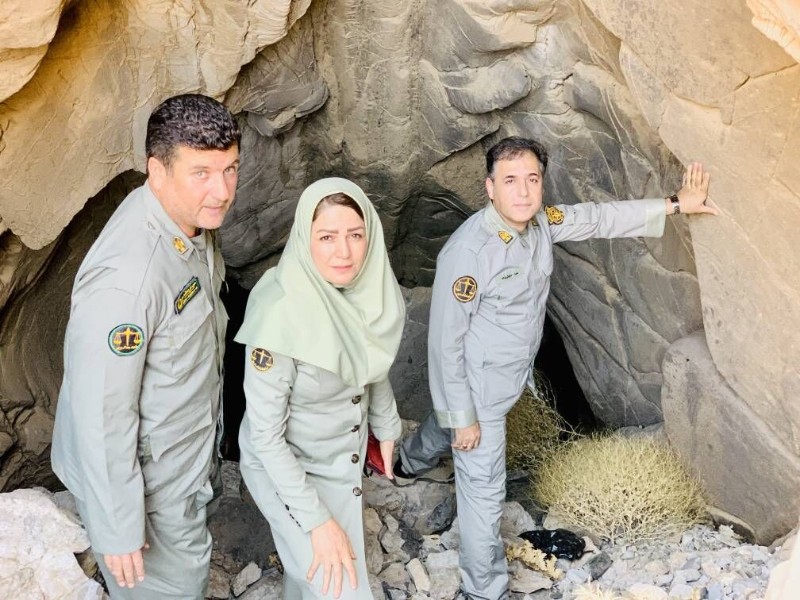 مدیرکل محیط‌زیست کرمانشاه از کشف غاری تازه در دل کوه‌های باینگان خبر داد